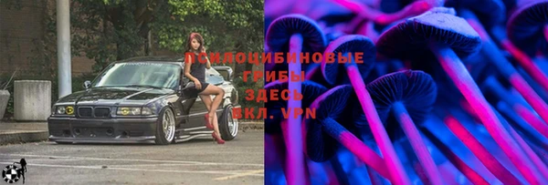 Альфа ПВП Майский