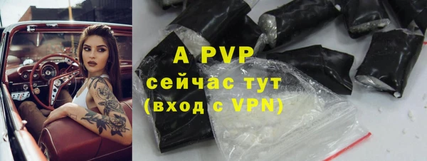 ГАЛЛЮЦИНОГЕННЫЕ ГРИБЫ Липки