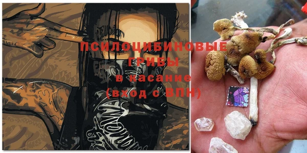 гидропоника Магас
