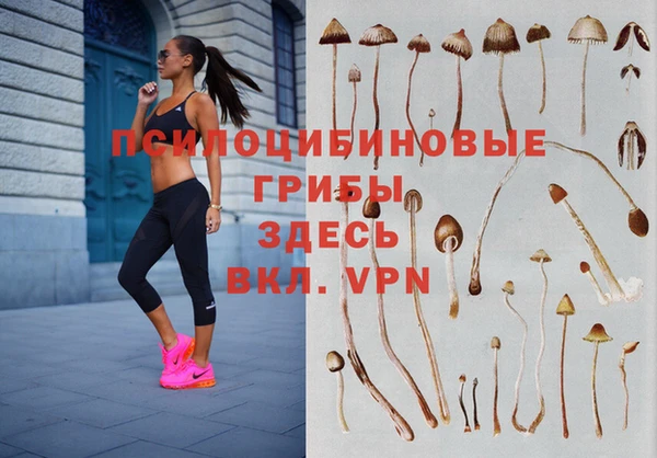 Альфа ПВП Майский