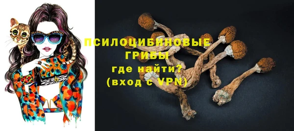 гидра Лихославль