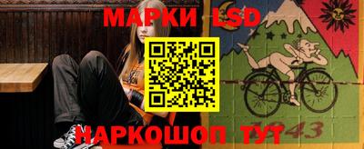 прущие грибы Абакан