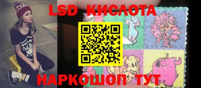 прущие грибы Абакан