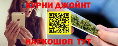 сатива Краснознаменск