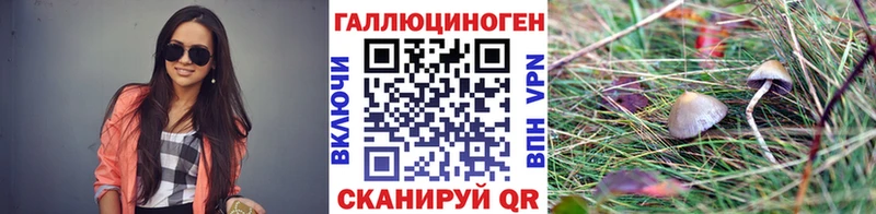 где найти   Тавда  маркетплейс официальный сайт  Галлюциногенные грибы Magic Shrooms 