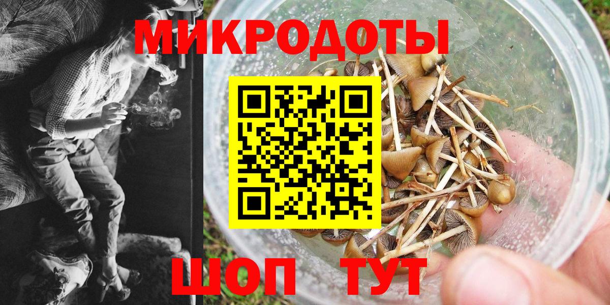 Тавда  Псилоцибиновые грибы Psilocybine cubensis  Вход с VPN 