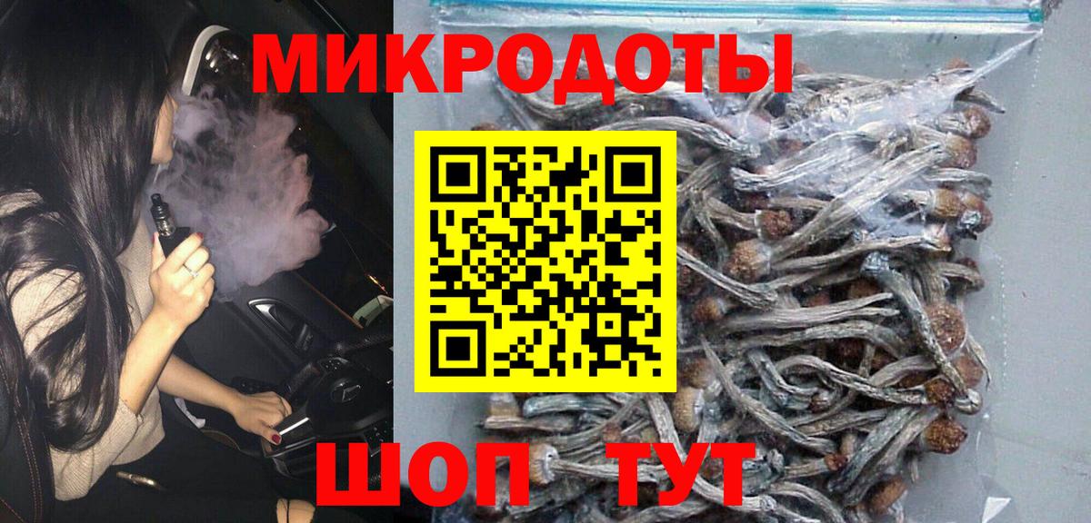 Псилоцибиновые грибы мицелий Тавда