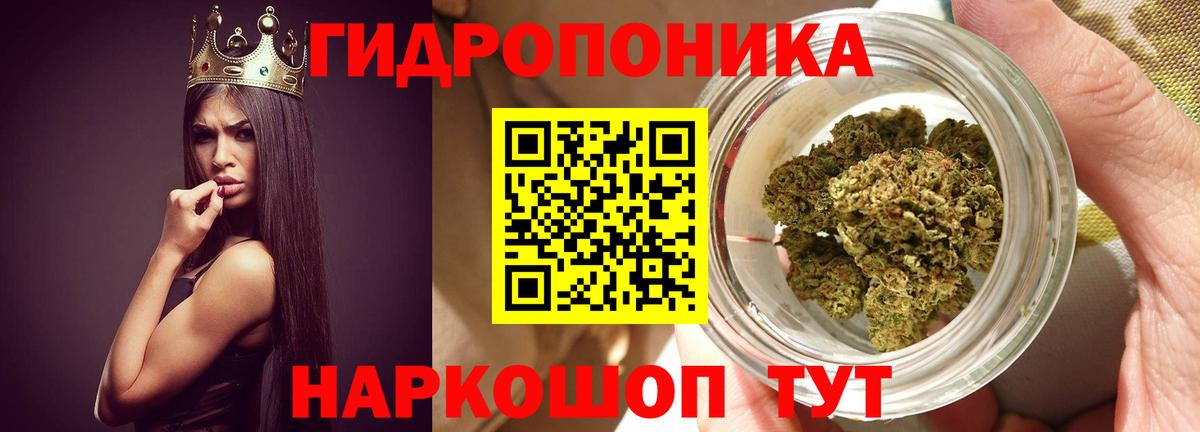 Марихуана Bruce Banner  Канабис конопля  Вход с VPN  Бошки марихуана LSD WEED  Тавда 